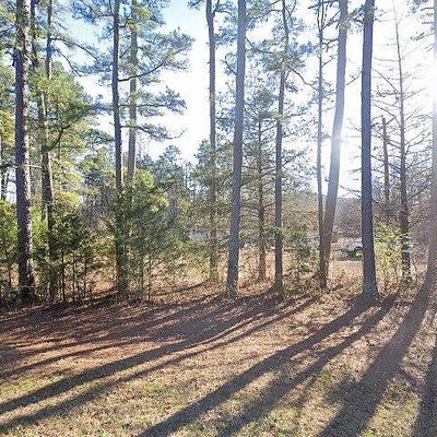 1690 Burnt Ridge Rd, Shirley, AR 72153