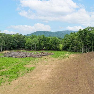 17.6 Acres Sr 79, Scottsboro, AL 35768