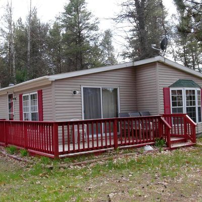 1983 Irene Ave, Grayling, MI 49738