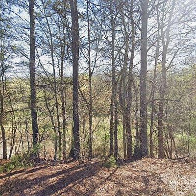 522 Bull Hollow Rd, Gallant, AL 35972