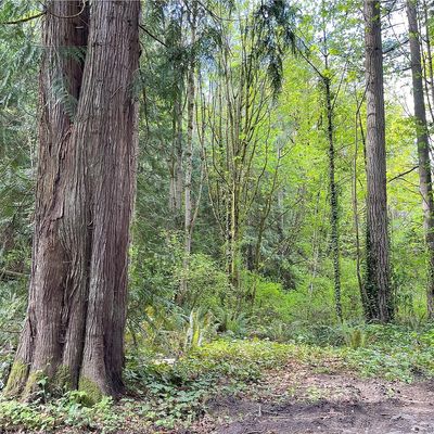 0 Lot 7 Ne Sanwick Place, Bainbridge Island, WA 98110