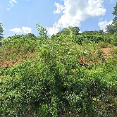 2 Hedgerose Ct #C, Asheville, NC 28805