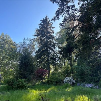 4291 West Rd, Blaine, WA 98230