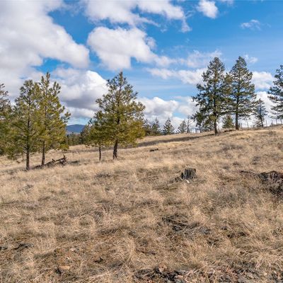 0 Bench Creek Road, Tonasket, WA 98855