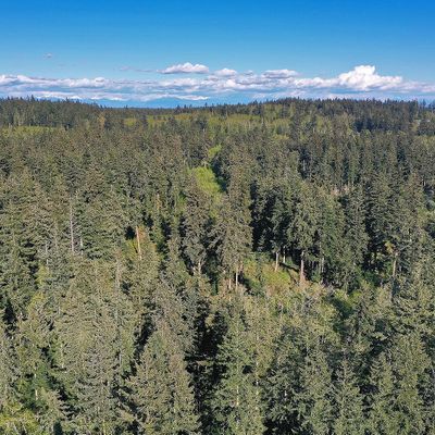 0 Lot 1 East Harbor Road, Freeland, WA 98249