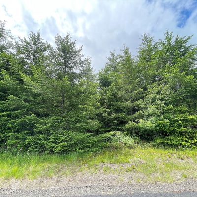 0 Na Finkas Road, Toutle, WA 98649