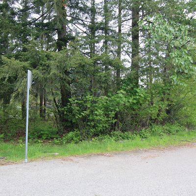 0 Sr 2 And Dorman Road, Gold Bar, WA 98251