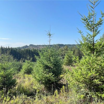 0 Salmon Creek Road, Toledo, WA 98591