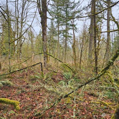 0 Vacant Land, Maple Valley, WA 98038