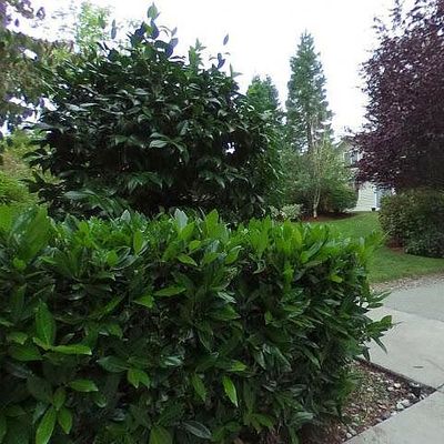 14007 69 Th Dr Se #D3, Snohomish, WA 98296