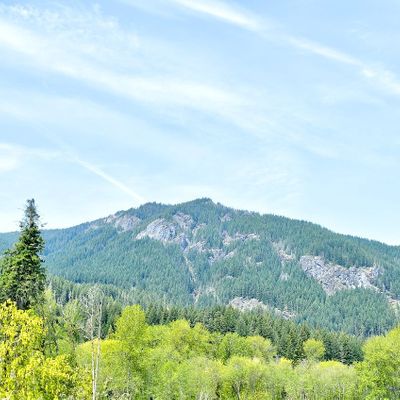 204 Burton Creek Road, White Pass, WA 98937