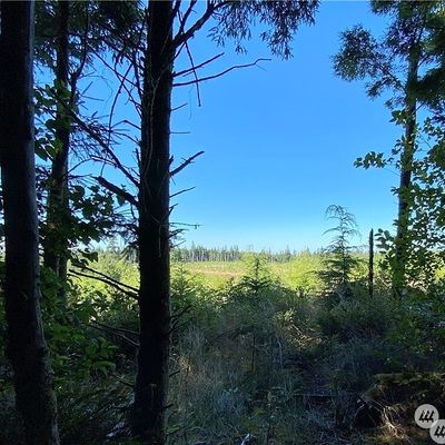 290 Lot 4 Luttrell Lane Lane, Chinook, WA 98614