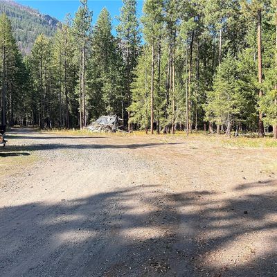 41 Tbd Davelaar Drive, Mazama, WA 98833