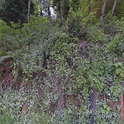 530 Warren Creek Rd, Arcata, CA 95521