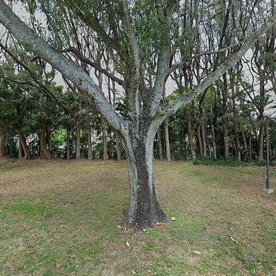 5971 La Pinata Blvd #B 2, Greenacres, FL 33463