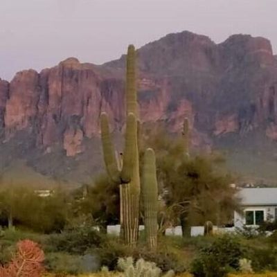 5140 N Vista Rd, Apache Junction, AZ 85119