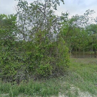 7513 County Road 132, Bedias, TX 77831