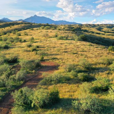 #3 A Camino La Paz, Patagonia, AZ 85624