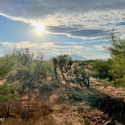 15966 W Phillips Road, Tucson, AZ 85736