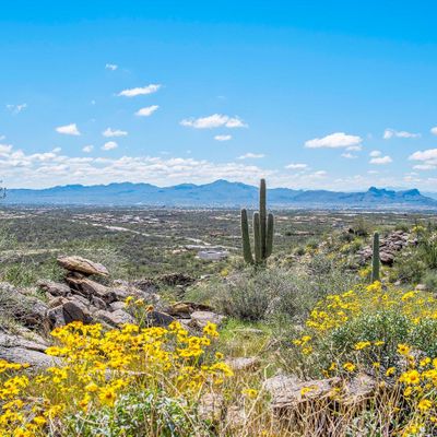 3601 W Adobe Ruins Place W, Marana, AZ 85658