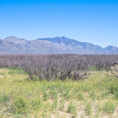 40 Acres S Martin Ranch Lot 1 Road, Willcox, AZ 85643