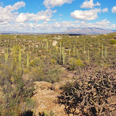 650 Blk N Camino De Oeste, Tucson, AZ 85745