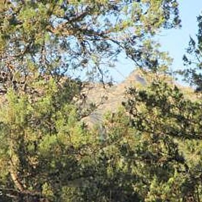 Lot 25 K Parcel E, Verde Glen, Payson, AZ 85541