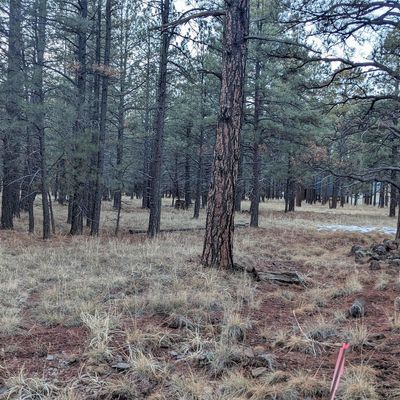 S Golden Meadow Trail, Williams, AZ 86046