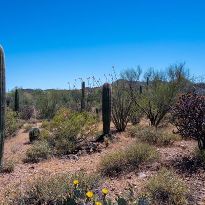 W Ironwood Hills Drive, Tucson, AZ 85745