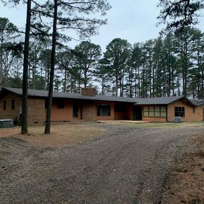 95 Flower Pl, Pottsville, AR 72858