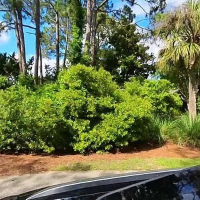 2600 Jenkins Point Rd, Johns Island, SC 29455