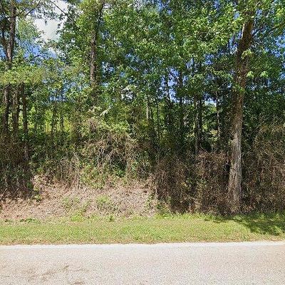 3223 County Road 82, Lineville, AL 36266