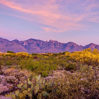 14 W Shimmering Sand Pl, Oro Valley, AZ 85755