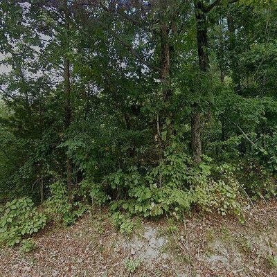 140 Bellwood Hollow Rd, Indian Mound, TN 37079