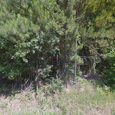 1986 White Springs Rd, Frierson, LA 71027