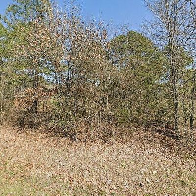 2426 Cataberry Run Rd, Ozark, AR 72949