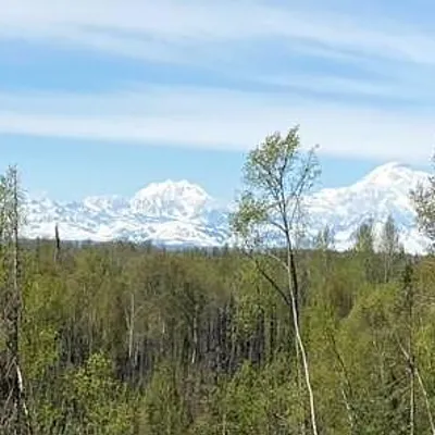 30592 Talkeetna Spur Road, Talkeetna, AK 99676