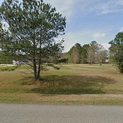 28283 S Satsuma Rd, Livingston, LA 70754