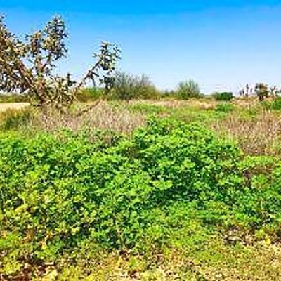 28.24 Ac Cornman Road, Casa Grande, AZ 85193