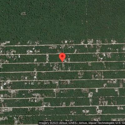 Ne 239th St, Fort Mc Coy, FL 32134