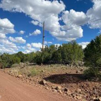 132 Harry Drive 2196, Concho, AZ 85924