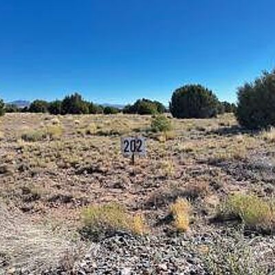 Lot 202 E County Road 3687 Road 202, Concho, AZ 85924