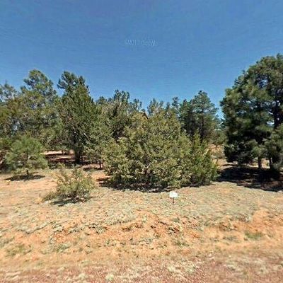 2971 Wapiti, Overgaard, AZ 85933