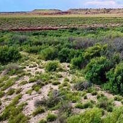 River Meadows Ranch South Lot #22, Concho, AZ 85924