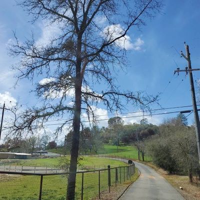 11929 New York Ranch Rd, Jackson, CA 95642