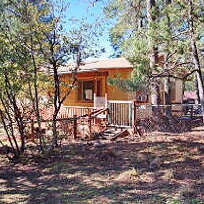 5058 N Bear Trl, Pine, AZ 85544