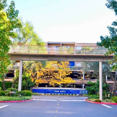 330 N Civic Drive #204, Walnut Creek, CA 94596