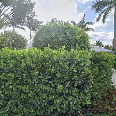 550 Island Dr, Palm Beach, FL 33480