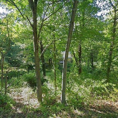 40 Park Ln, Woodbridge, CT 06525