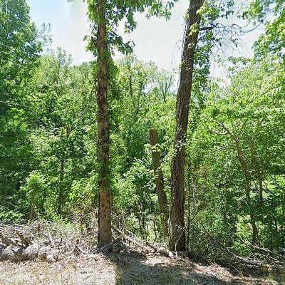 31025 Highway 263, Onia, AR 72663